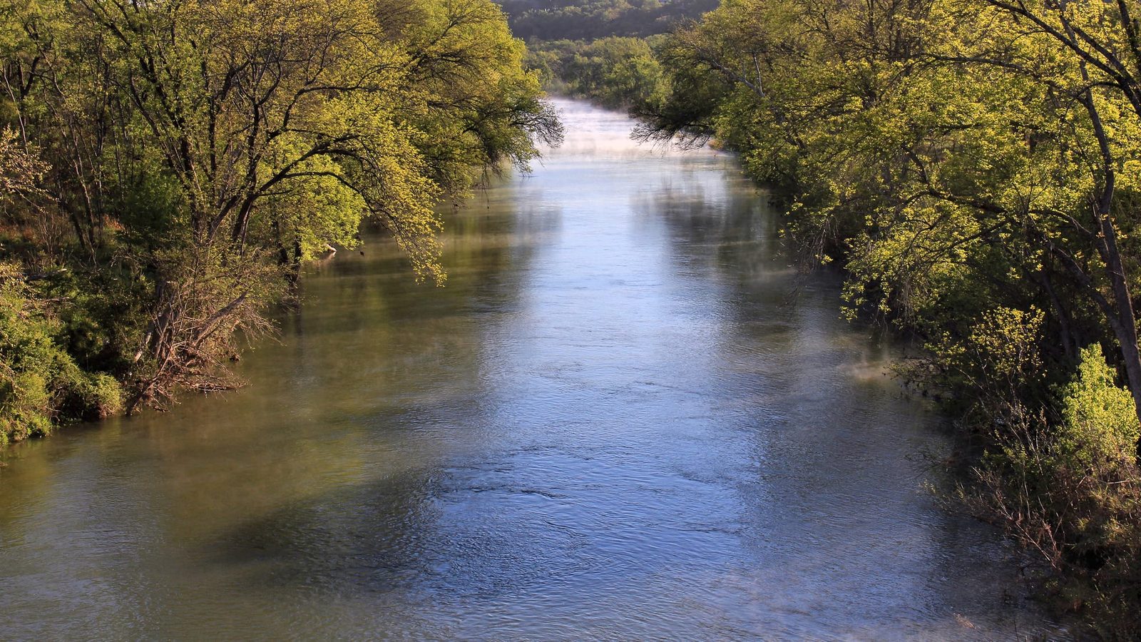 Leander
