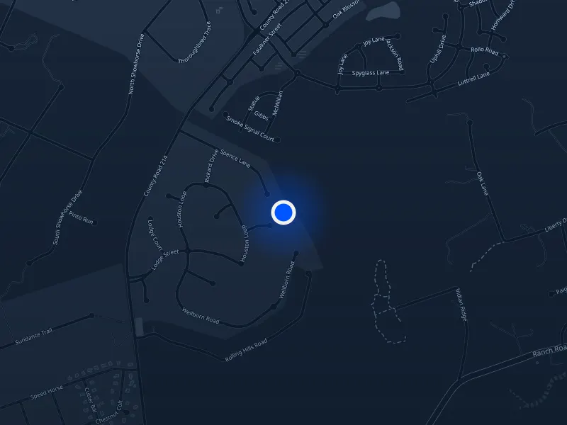 Map of 117 Nagle CT, Liberty Hill